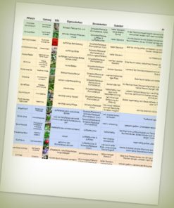 Beispielbild: Tabelle idealer Büropflanzen